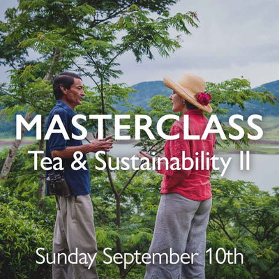 Tea Masterclass - Tea & Sustainability II